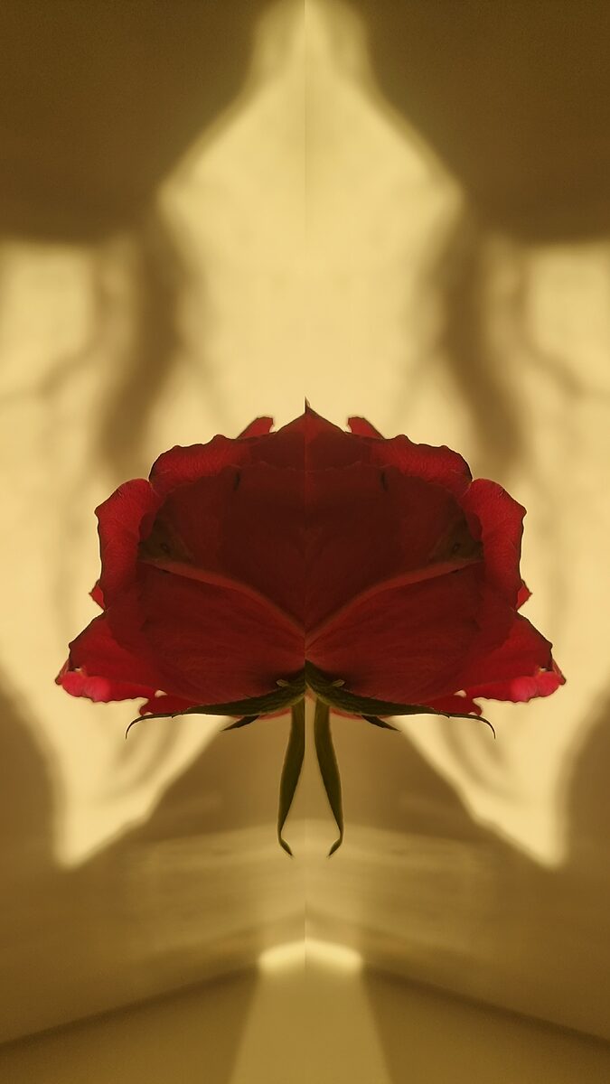 The Kaleidoscope of Life